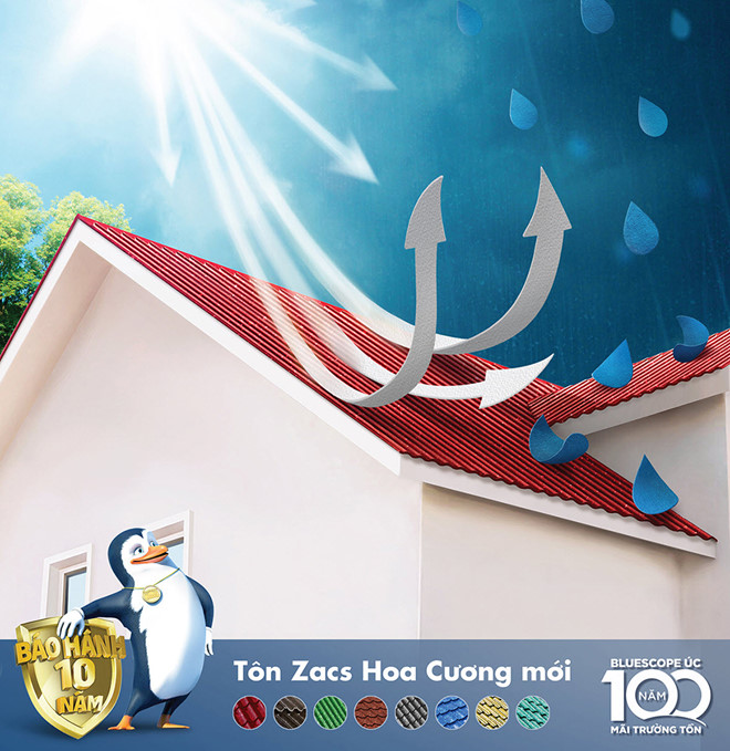 tôn zacs hoa cương mới