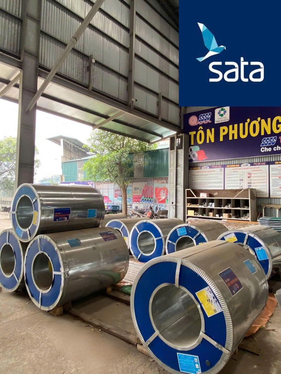 tôn phương nam Tôn Phương Nam