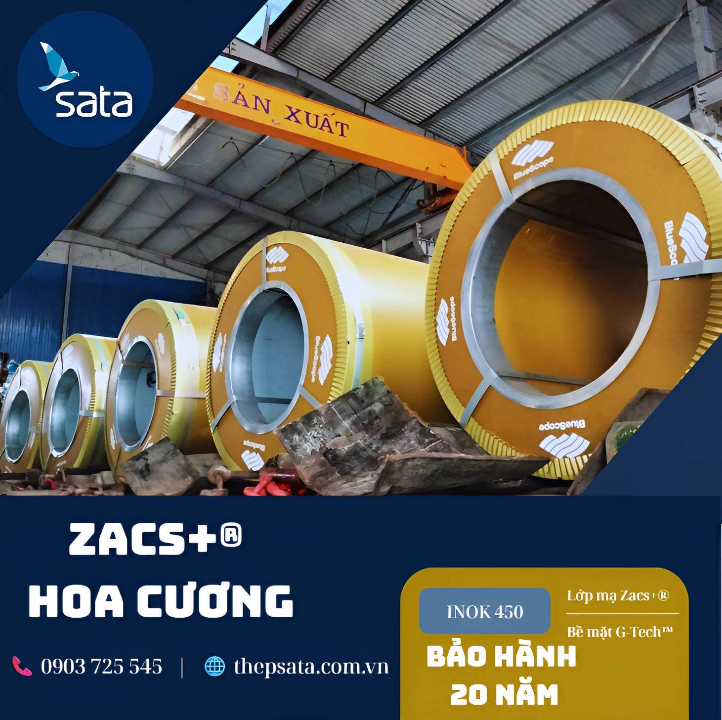 Tôn Zacs Hoa Cương