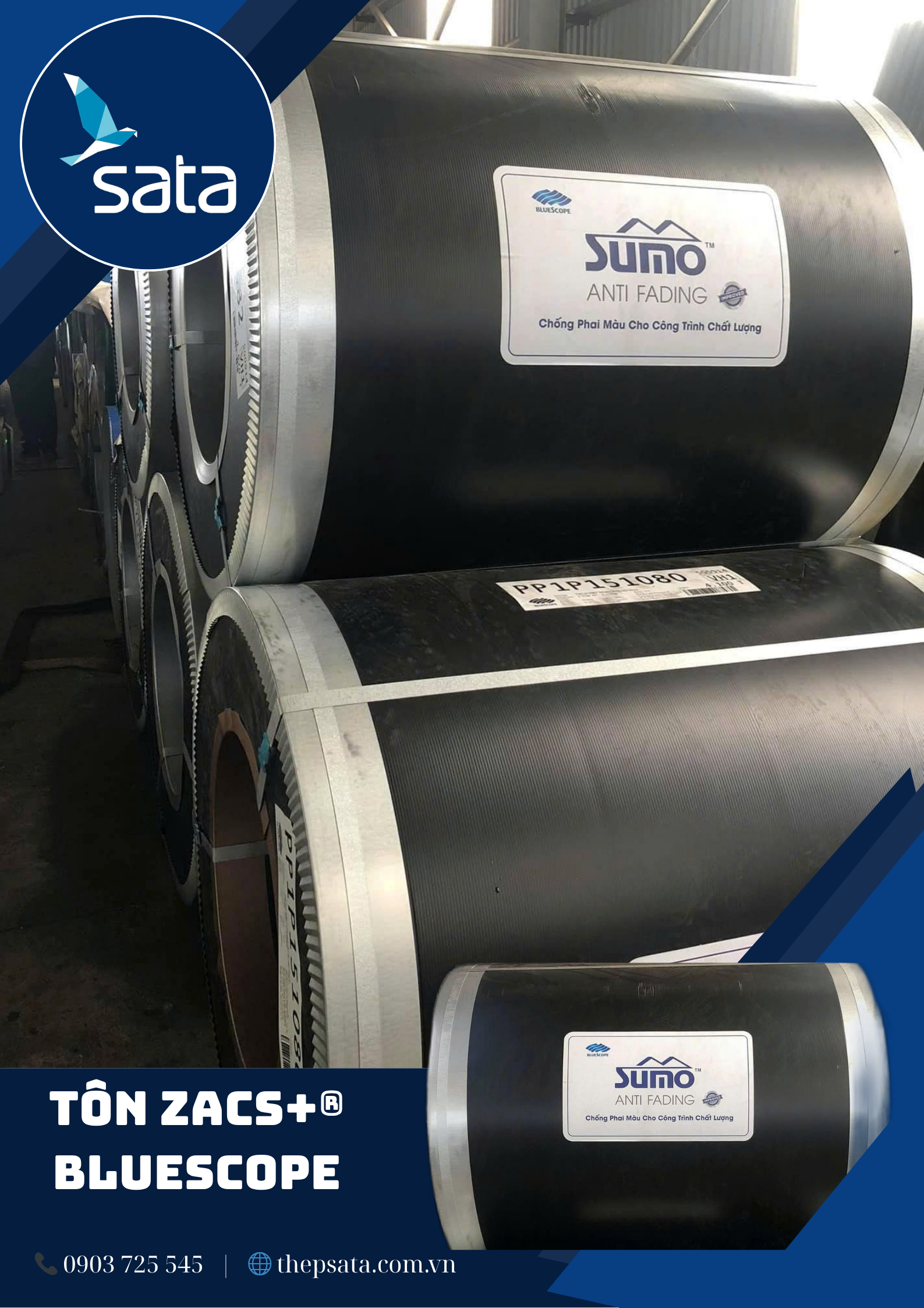 Zacs+® Hoa Cương (1)
